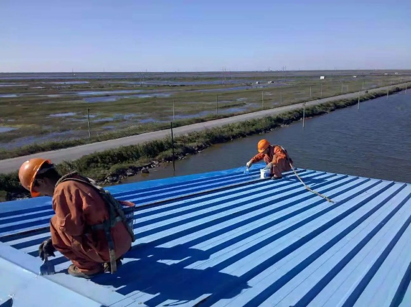 郾城彩钢瓦屋面防腐翻新